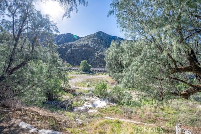 12571 Capra, Agua Dulce, CA 91390