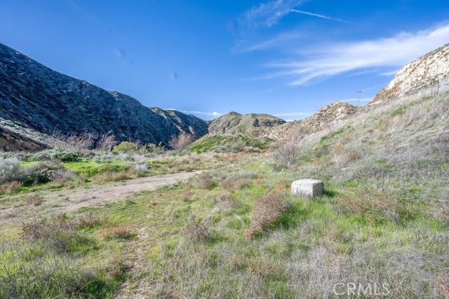 12571 Capra, Agua Dulce, CA 91390