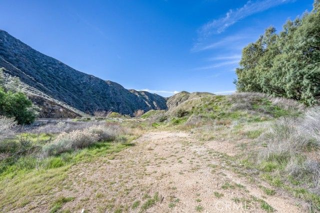 12571 Capra, Agua Dulce, CA 91390
