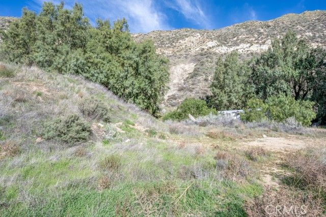 12571 Capra, Agua Dulce, CA 91390