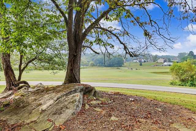 163 Yonah Way, Blairsville, GA 30512