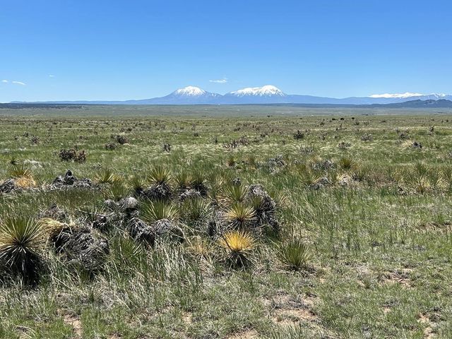 Lot 126 Colorado Land and Livestock, Walsenburg, CO 81089