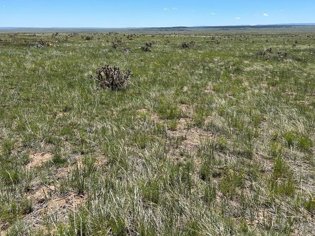 Lot 126 Colorado Land and Livestock, Walsenburg, CO 81089