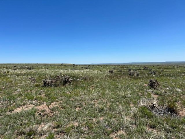 Lot 126 Colorado Land and Livestock, Walsenburg, CO 81089