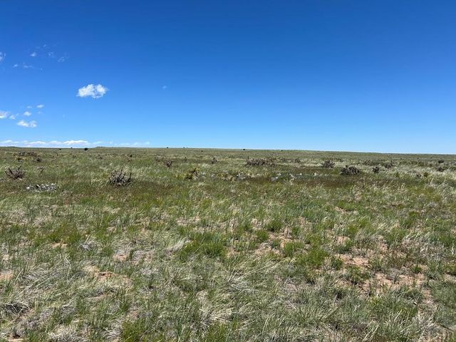 Lot 126 Colorado Land and Livestock, Walsenburg, CO 81089