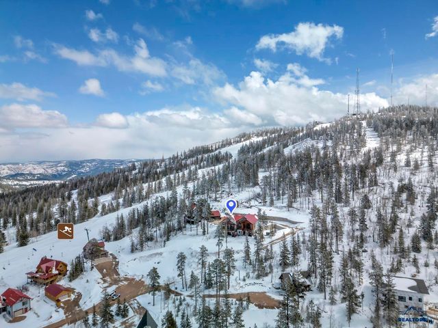 21172 STEWART SLOPE CIR, Lead, SD 57754