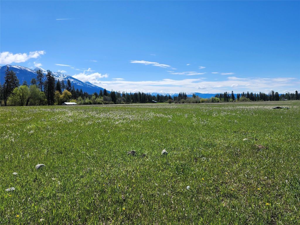 Lot 31 Two Creek Lane, Charlo, MT 59824 photo 6