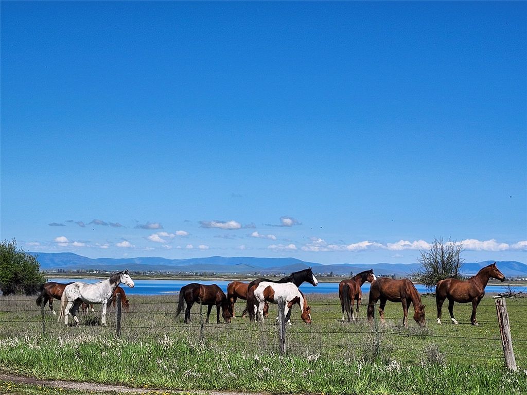 Lot 31 Two Creek Lane, Charlo, MT 59824 photo 9