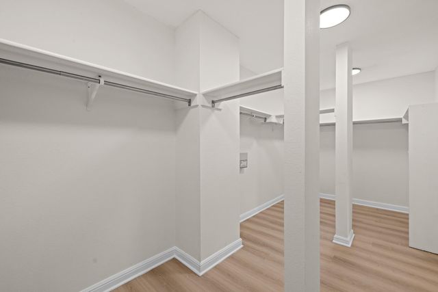 1181 Forest Bluff TRL, Round Rock, TX 78665