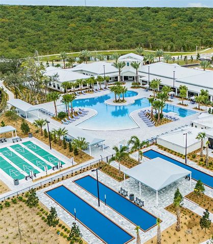 16890 FORGE SURF STREET, Land O Lakes, FL 34638