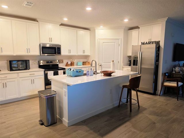 16890 FORGE SURF STREET, Land O Lakes, FL 34638