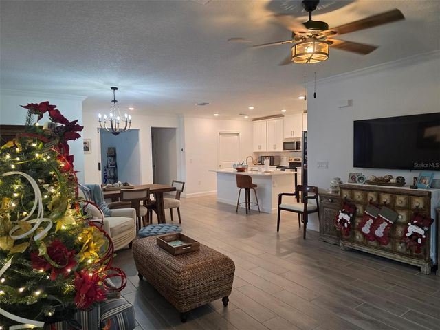 16890 FORGE SURF STREET, Land O Lakes, FL 34638