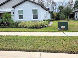 16890 FORGE SURF STREET, Land O Lakes, FL 34638