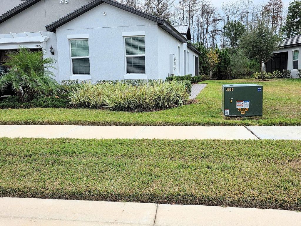 16890 FORGE SURF STREET, Land O Lakes, FL 34638