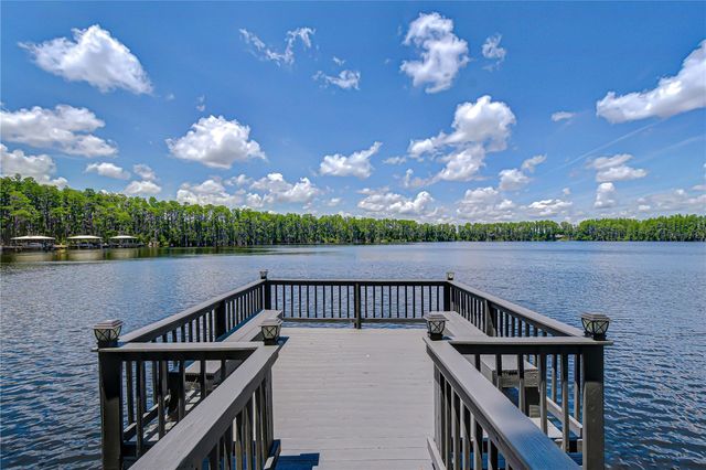 20915 LAKE VIENNA DRIVE, Land O Lakes, FL 34638