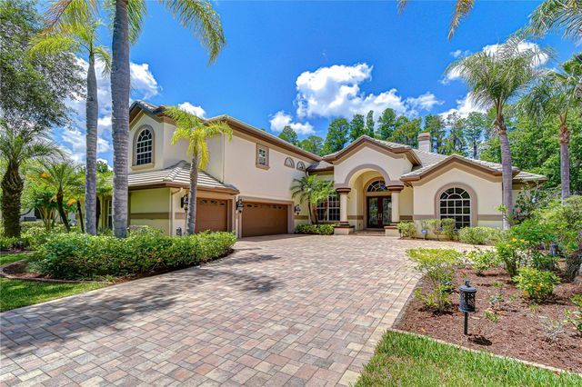 20915 LAKE VIENNA DRIVE, Land O Lakes, FL 34638