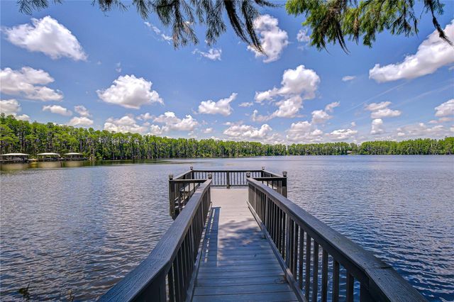 20915 LAKE VIENNA DRIVE, Land O Lakes, FL 34638