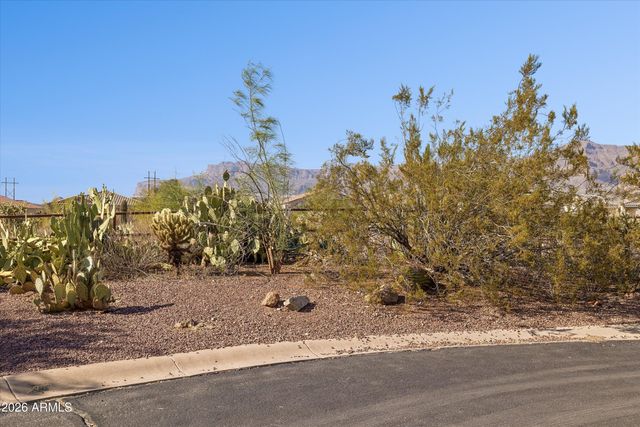 10161 E RUGGED MOUNTAIN Drive, Gold Canyon, AZ 85118