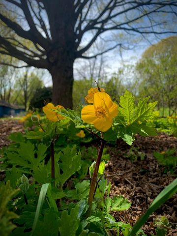 29349 County Road 390, Gobles, MI 49055