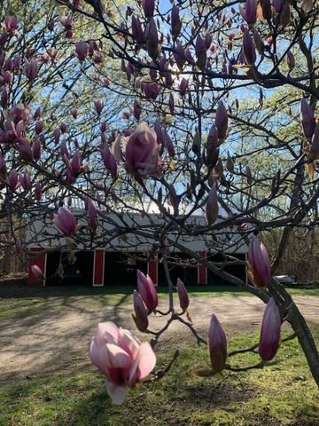 29349 County Road 390, Gobles, MI 49055