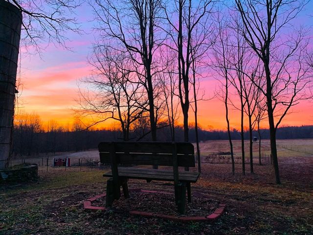 29349 County Road 390, Gobles, MI 49055