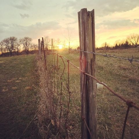 29349 County Road 390, Gobles, MI 49055