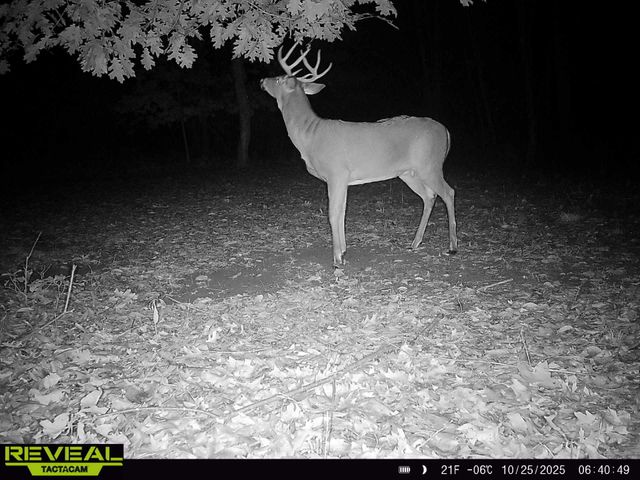 29349 County Road 390, Gobles, MI 49055