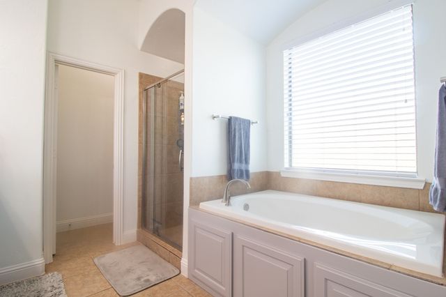 13176 Amber Meadow Drive, Talty, TX 75126