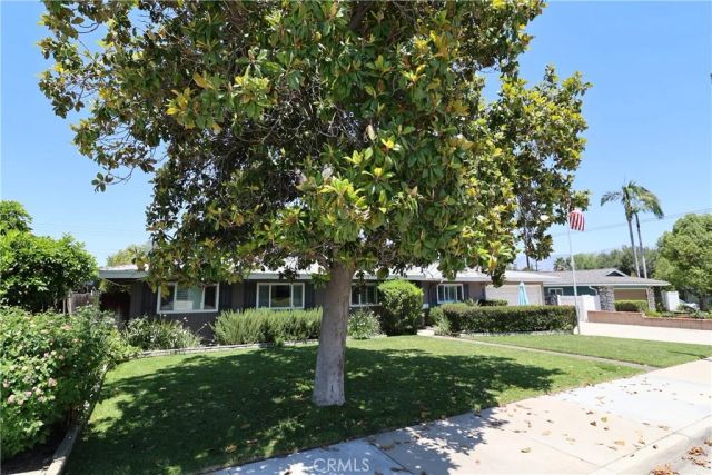 233 PHLOX Avenue, Redlands, CA 92373