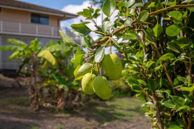 358 Holopuni Rd, Kula, HI 96790