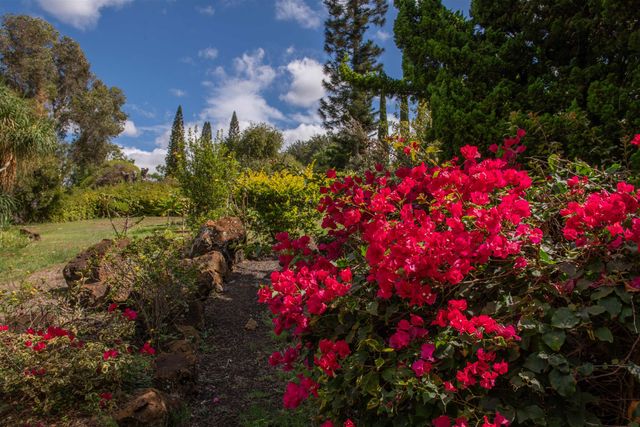 358 Holopuni Rd, Kula, HI 96790