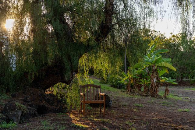 358 Holopuni Rd, Kula, HI 96790