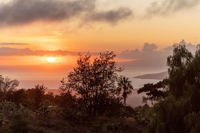 358 Holopuni Rd, Kula, HI 96790