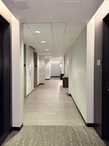 240 E Illinois Street 1706, Chicago, IL 60611