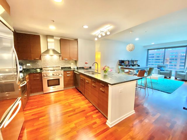 240 E Illinois Street 1706, Chicago, IL 60611