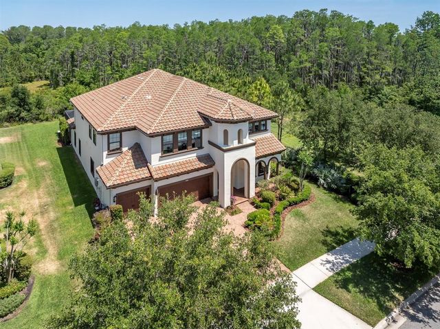 3100 BARBOUR TRAIL, Odessa, FL 33556