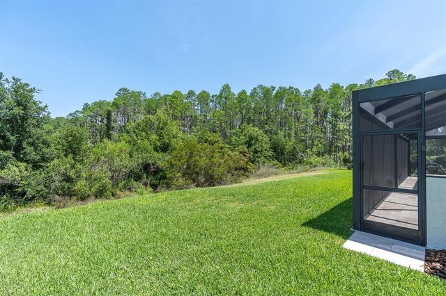 3100 BARBOUR TRAIL, Odessa, FL 33556