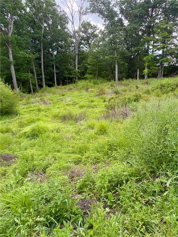 0 Coral/Johnston, Upper St Clair, PA 15241