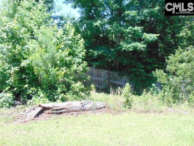 392 Blythe Creek Drive, Blythewood, SC 29016