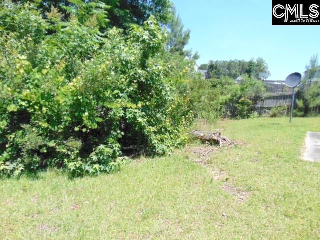 392 Blythe Creek Drive, Blythewood, SC 29016