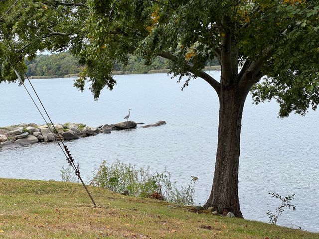 16 Crestwood Road, Coventry, CT 06238