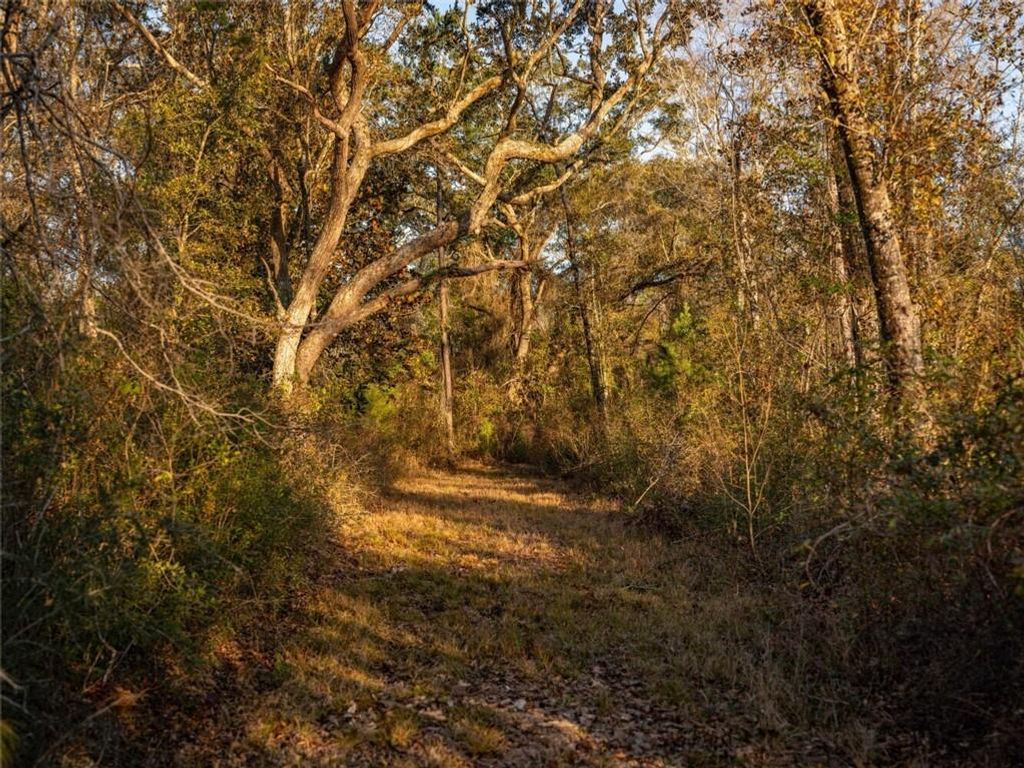 0 Kennedy Road, Bon Secour, AL 36511 — photo 4