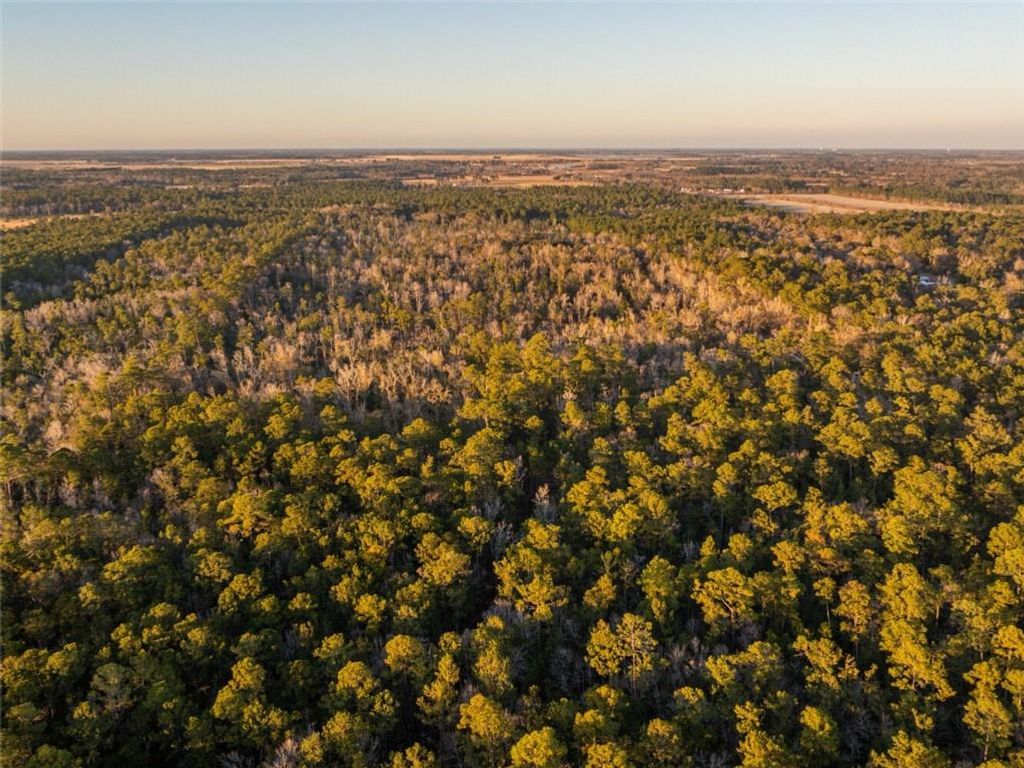 0 Kennedy Road, Bon Secour, AL 36511 — photo 5