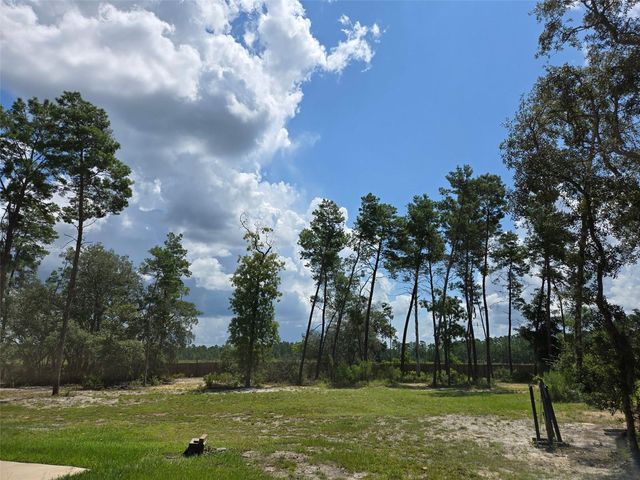 854 FISHER ROAD, Ocklawaha, FL 32179