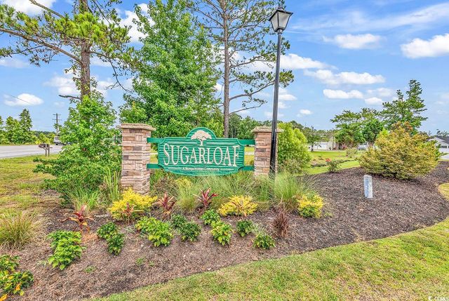 330 High Falls Dr., Conway, SC 29526