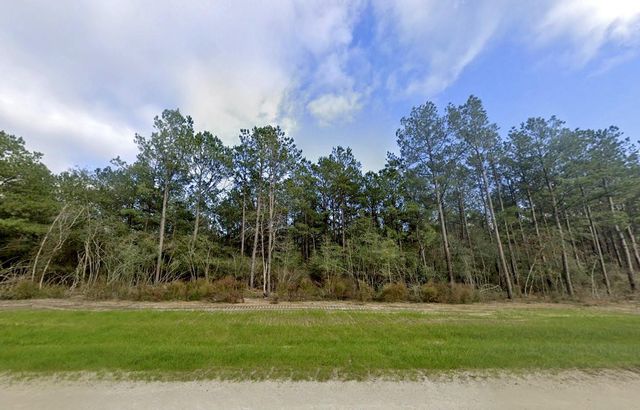 16247 Golden Wood Court, Willis, TX 77378