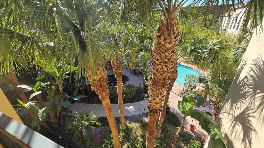 Image 37 of property listing at 520 S ARMENIA AVENUE 1238, Tampa, FL 33609