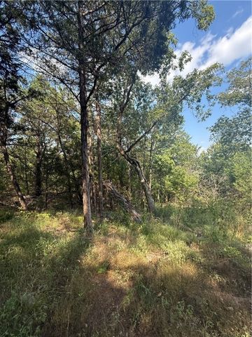 74 Twin Peak Drive, Holiday Island, AR 72631