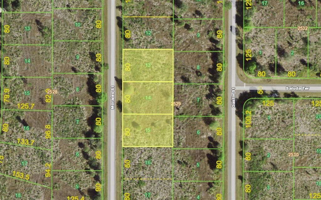 238, 246 & 254 MORALES STREET, Port Charlotte, FL 33953