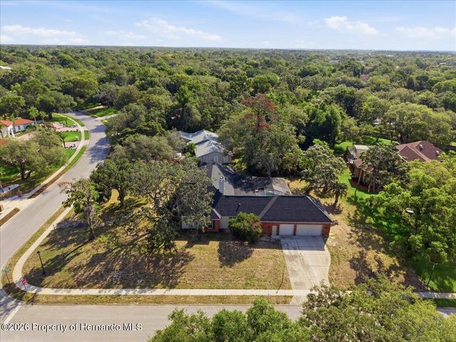4558 Lake In The Woods Drive, Spring Hill, FL 34607